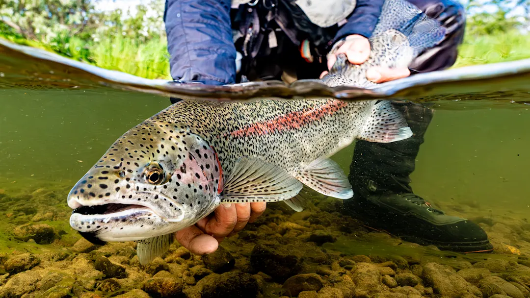 The Ridge Alaska: Fly Fishing Lodge Review by Sports Illustrated